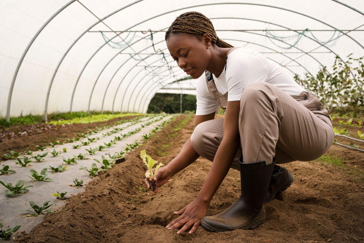 Agriaffaire : la solution pour l’achat et la vente de materiel agricole en ligne